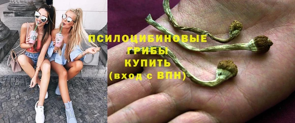 соль курить ск Михайловка