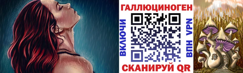 купить наркоту  Исилькуль  Галлюциногенные грибы Magic Shrooms 